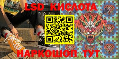 шишки Белореченск