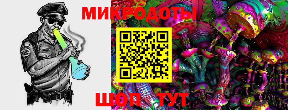 Псилоцибиновые грибы Cubensis Азнакаево